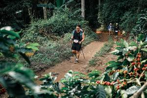 BIB: 
                            <button type="button" onclick="openModal(25860001)" class="btn btn-primary btn-sm float-right btn-popup" data-toggle="modal" data-target=".modal-high-quality">
                        <i class="fas fa-shopping-cart"></i> Add to Cart
                    </button>
                                            <button type="button" onclick="isThisMe(25860001, true)" class="btn btn-success btn-sm float-right btn-popup btn-isme hidden" data-toggle="tooltip" data-placement="bottom" title="นี่คือรูปของคุณใช่ไหม คลิกที่นี่เพื่อเอาเข้าอัลบั้ม">
                        <i class="fas fa-plus"></i> Add to album
                    </button>
                    <button type="button" onclick="isThisMe(25860001, false)" class="btn btn-warning btn-sm float-right btn-popup btn-isnotme hidden">
                        <i class="fas fa-ban"></i> Remove from album
                    </button>